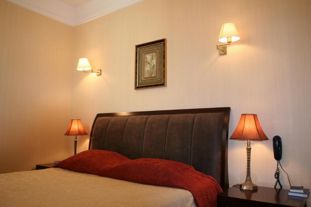 Hotel Alexandre III Image 6